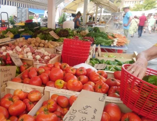 Tomate : volumes en baisse et prix en hausse