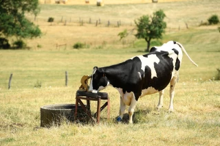 Sécheresse : les Vingt-sept cherchent des solutions